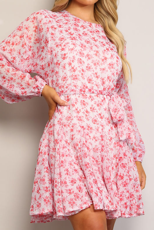 Rose Floral Print Belted Flare Dress