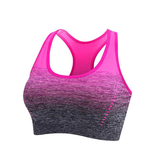 Gradient Sports Bra